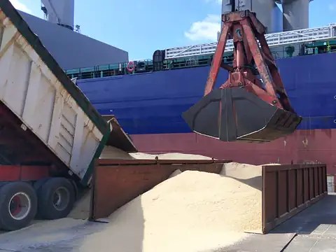 A dump truck tips salt into a bin on the quay while a grab waits to load the ship